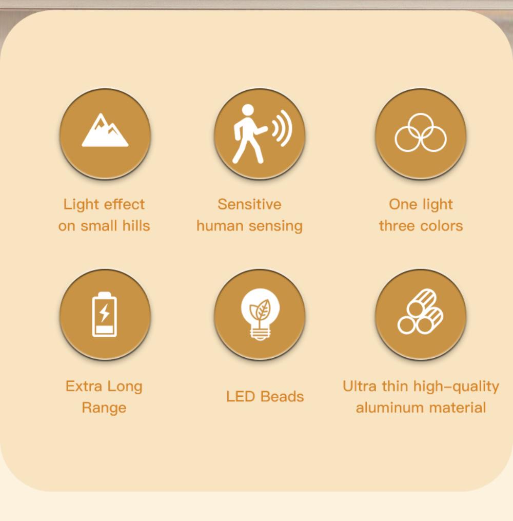 S6d1e8310025247cfa6b8a3dad09c0545c