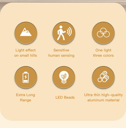 S6d1e8310025247cfa6b8a3dad09c0545c