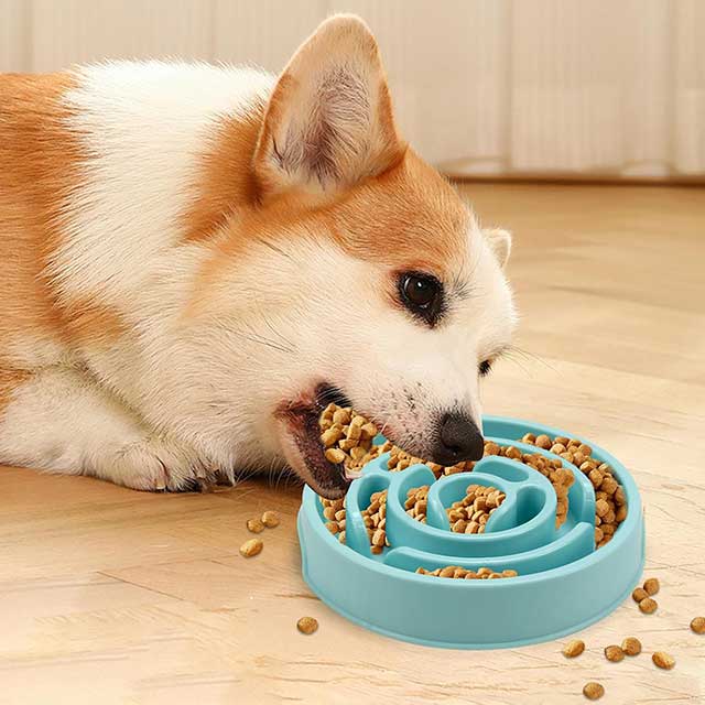 Slow Feeder Dog Bowl – Anti-Choking Puzzle Bowl for Dry, Wet & Raw Food | Maze Design to Slow Down Eating & Prevent Overeating | Puppy Training Dish for Small & Medium Dogs, Cats & Pets