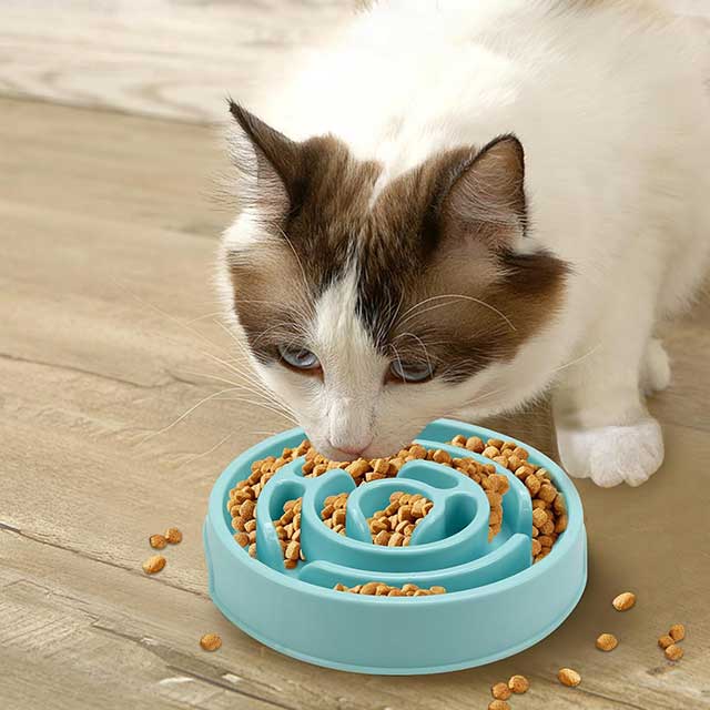 Slow Feeder Dog Bowl – Anti-Choking Puzzle Bowl for Dry, Wet & Raw Food | Maze Design to Slow Down Eating & Prevent Overeating | Puppy Training Dish for Small & Medium Dogs, Cats & Pets