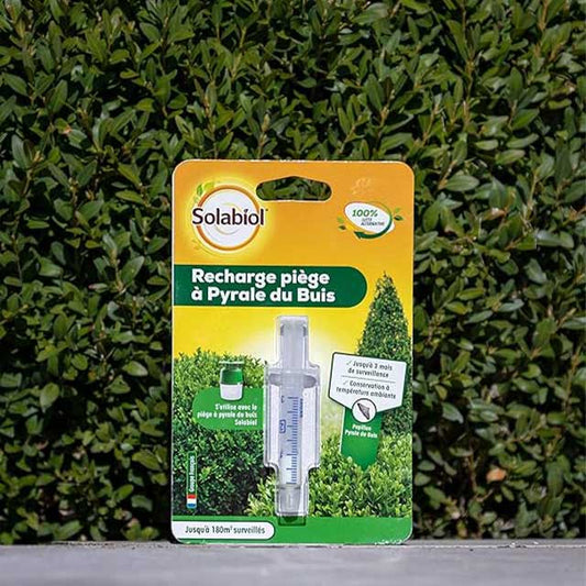 Solabiol Sorecbuis White Moth Trap Refill Box
