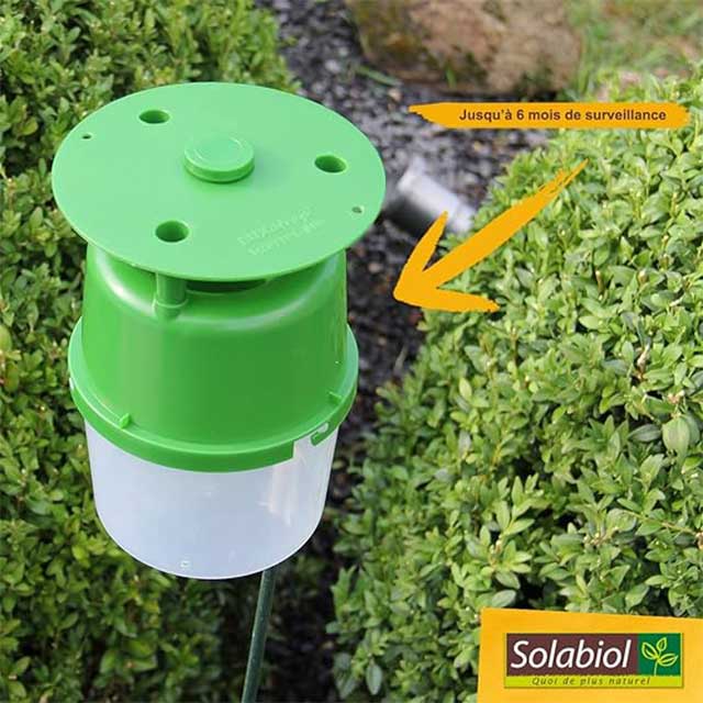 Solabiol Sorecbuis White Moth Trap Refill Box