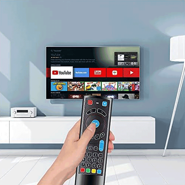 TV Remote Replacement