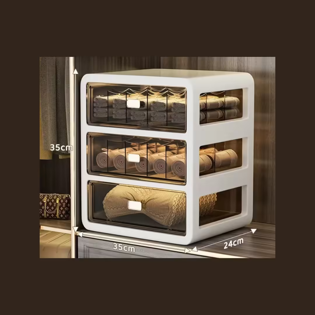 Three-in-One Underwear Storage Box: Wardrobe Organizer for Bras, Socks, and Underwear with Drawer Compartment