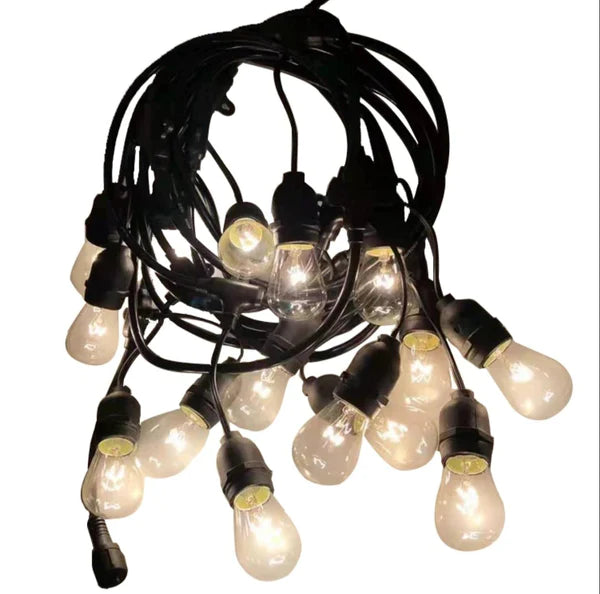 WhatsAppImage2024 01 08at3.21.30PM