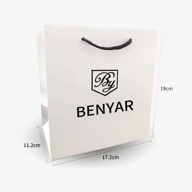 Montre BENYAR pour homme en acier inoxydable à mouvement automatique, modèle BY-5152