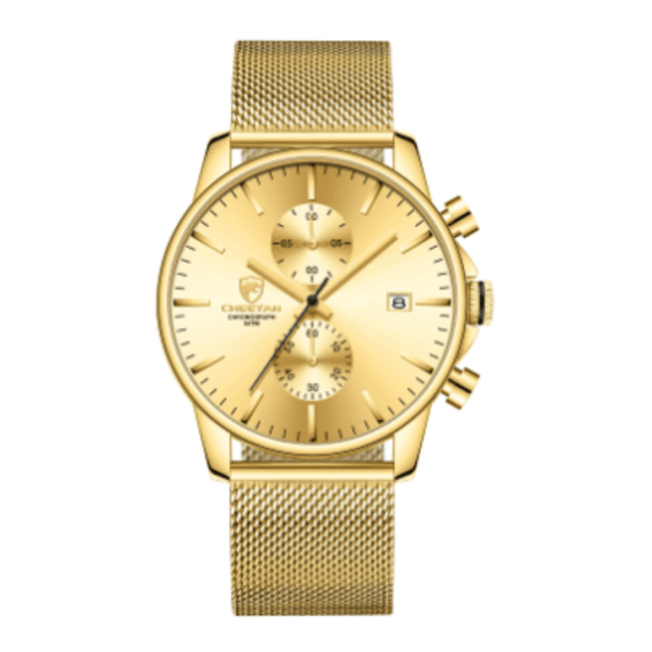 CHEETAH Chronograph Mesh Stainless Steel Men Watch (CH1604M)