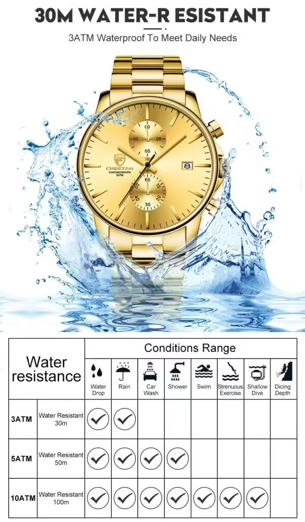 CHEETAH Chronograph Stainless Steel Men Watch (CH1604)