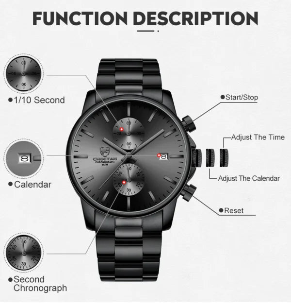 CHEETAH Chronograph Stainless Steel Men Watch (CH1604S)