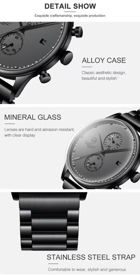 CHEETAH Chronograph Stainless Steel Men Watch (CH1605S)