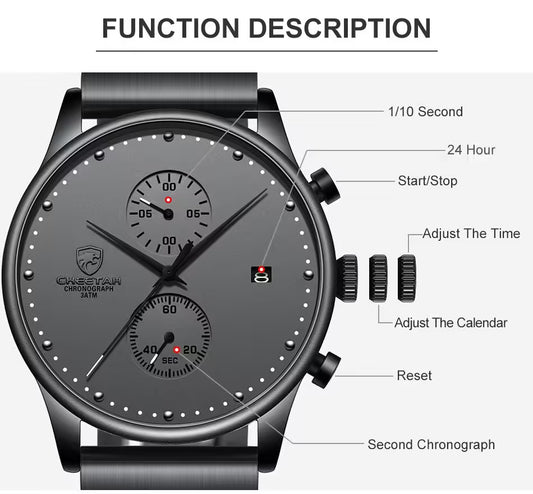 CHEETAH Chronograph Stainless Steel Men Watch (CH1605S)