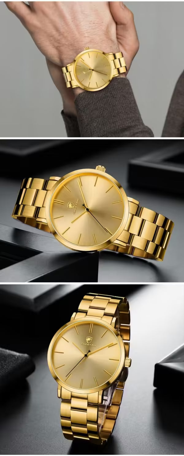 Montre homme CHEETAH classique en acier inoxydable (CH1615)