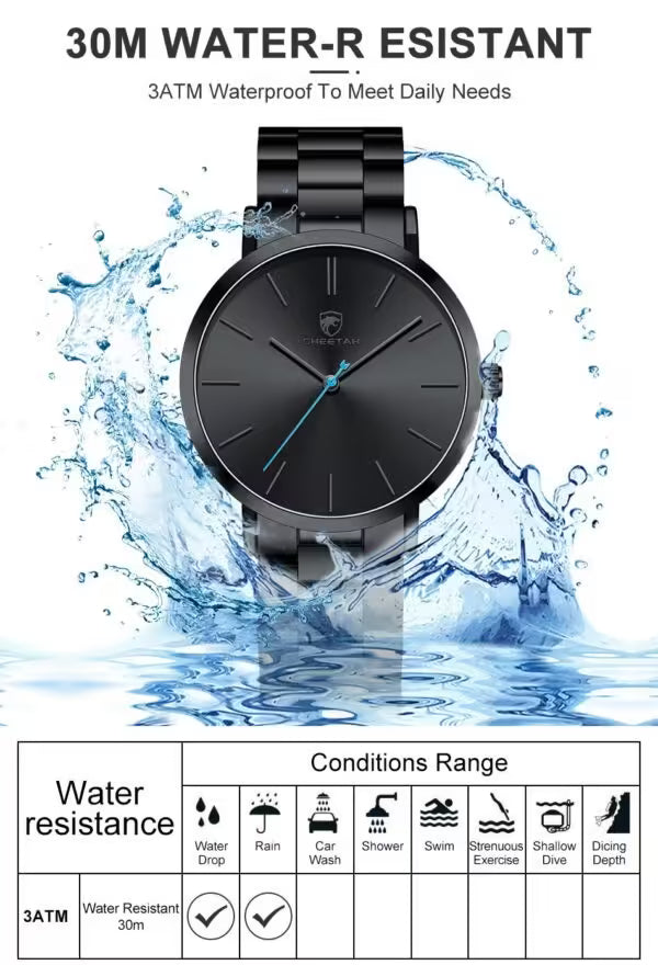 Montre homme CHEETAH classique en acier inoxydable (CH1615)