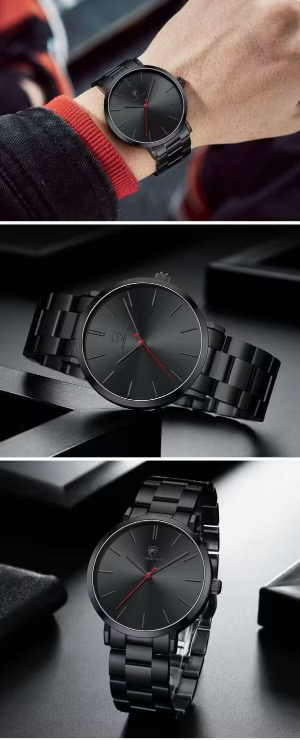 Montre homme CHEETAH classique en acier inoxydable (CH1615)
