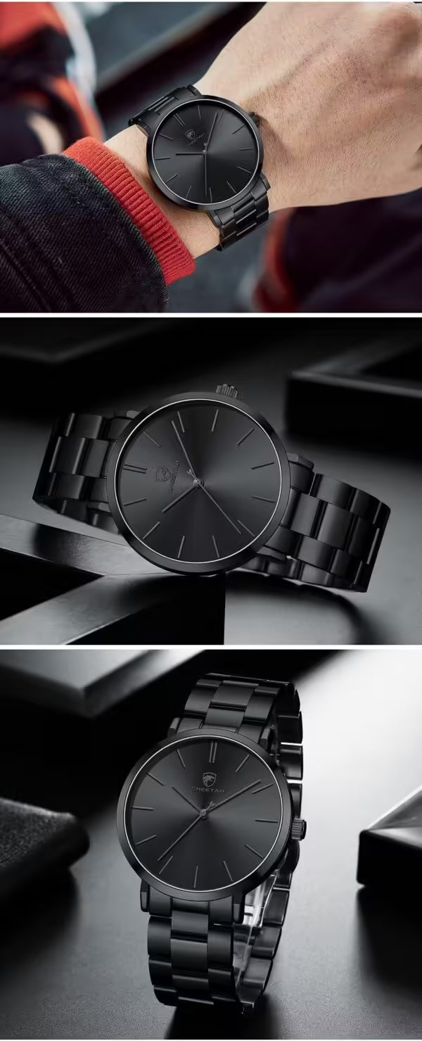 Montre homme CHEETAH classique en acier inoxydable (CH1615)