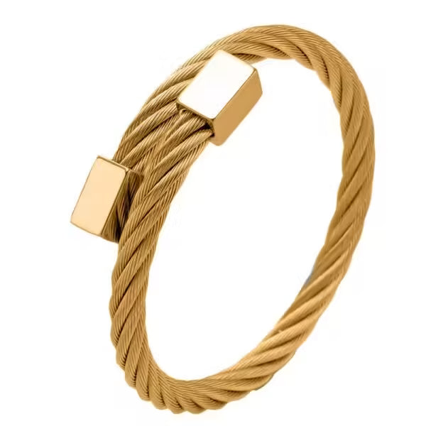 Bracelet classique pour homme en acier inoxydable (EGBT110)