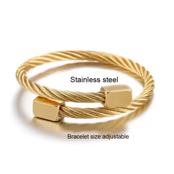 Bracelet classique pour homme en acier inoxydable (EGBT110)