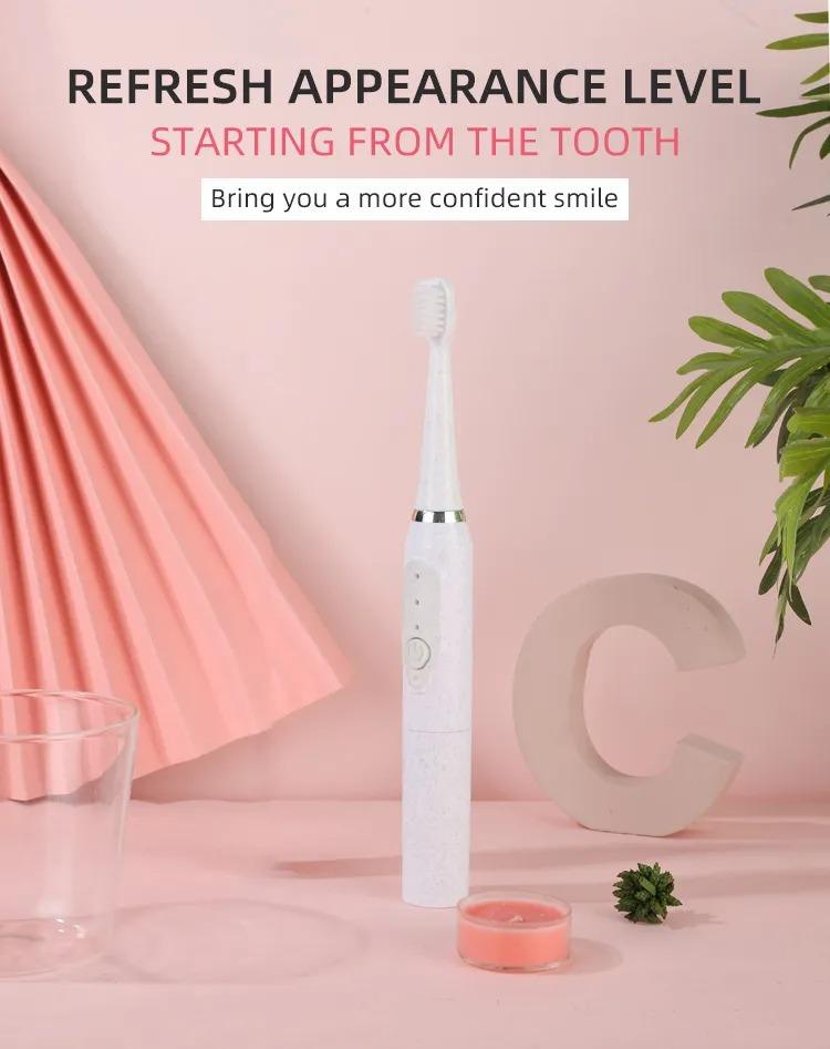 Sonic Electric Toothbrush for Adult Non-Rechargeable Soft Fur Full-Automatic