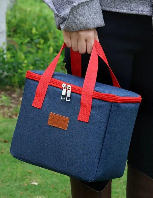 Waterproof Portable Lunch Bag (EGB242)