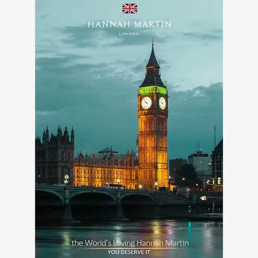 HANNAH MARTIN Mesh Stainless Steel Women Watch Model (119F)