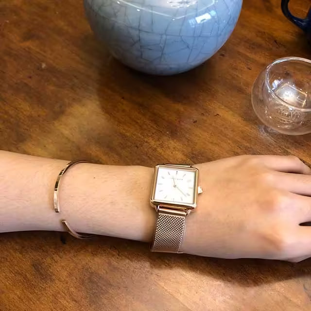 HANNAH MARTIN Mesh Stainless Steel Women Watch Model (HM-108M)