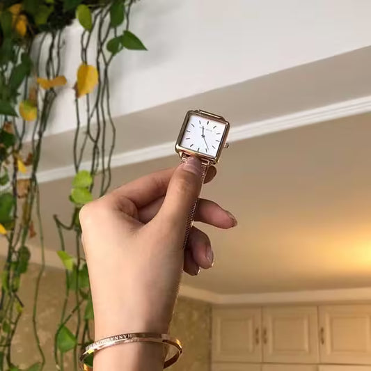 HANNAH MARTIN Mesh Stainless Steel Women Watch Model (HM-108M)