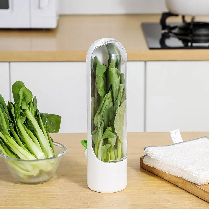 Contenant de conservation pour herbes fraîches – Récipient pour légumes et herbes aromatiques avec réservoir d'eau pour laitue, épinards, coriandre, menthe et produits frais