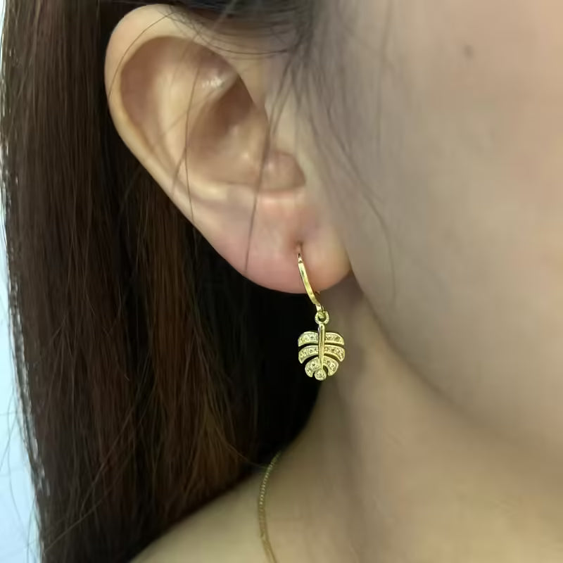 Boucles d'oreilles pour femmes