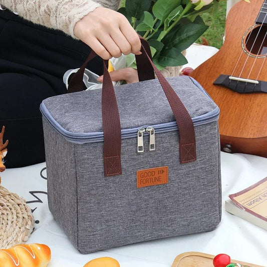 Waterproof Portable Lunch Bag (EGB242)