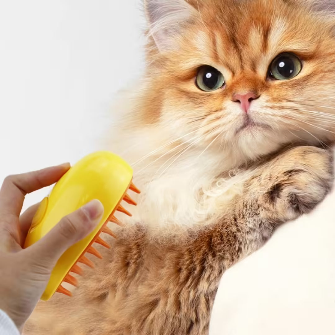 Peigne de massage et de massage pour animaux de compagnie, spray à un bouton pour empêcher les poils de voler, outil de massage et de bain doux pour la peau