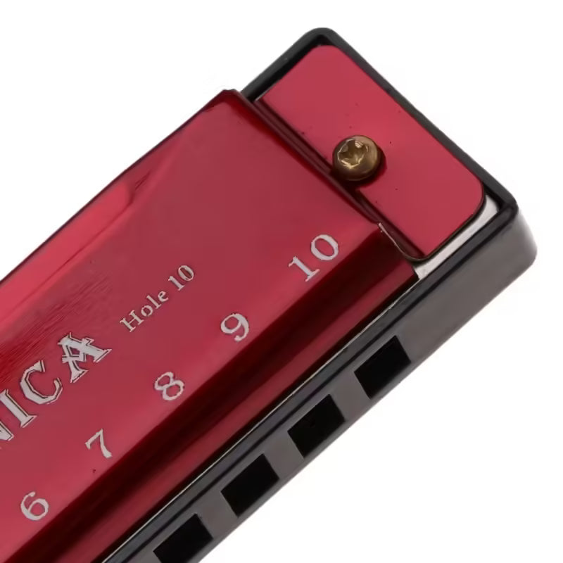 Harmonica blues en do majeur à 10 trous avec étui | Instrument de musique éducatif pour débutants