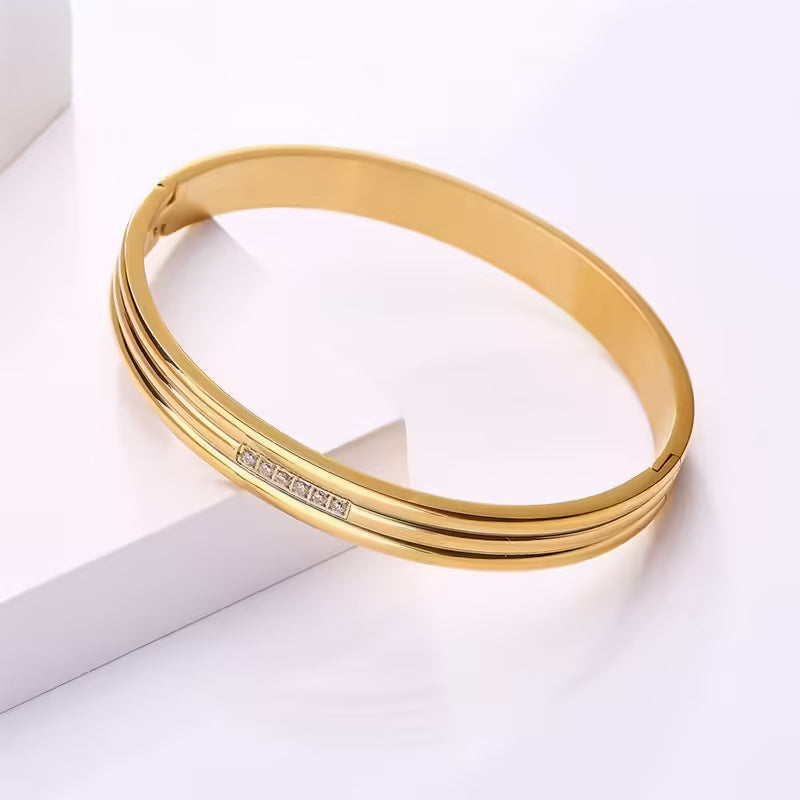 Simple Pave Zircon Stainless Steel Unisex Bangle (EGBT356)