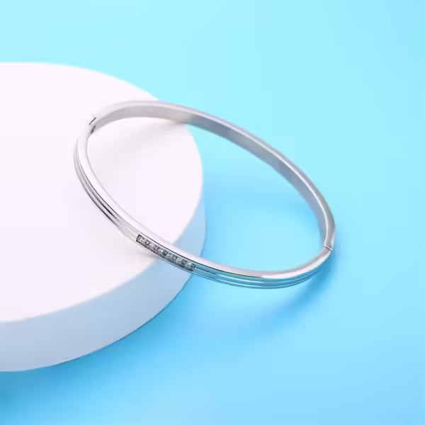 Simple Pave Zircon Stainless Steel Unisex Bangle (EGBT356)