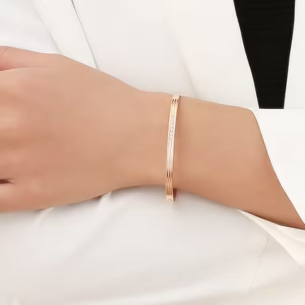 Simple Pave Zircon Stainless Steel Unisex Bangle (EGBT356)