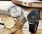 Montre femme SK Mesh en acier inoxydable (K0030)