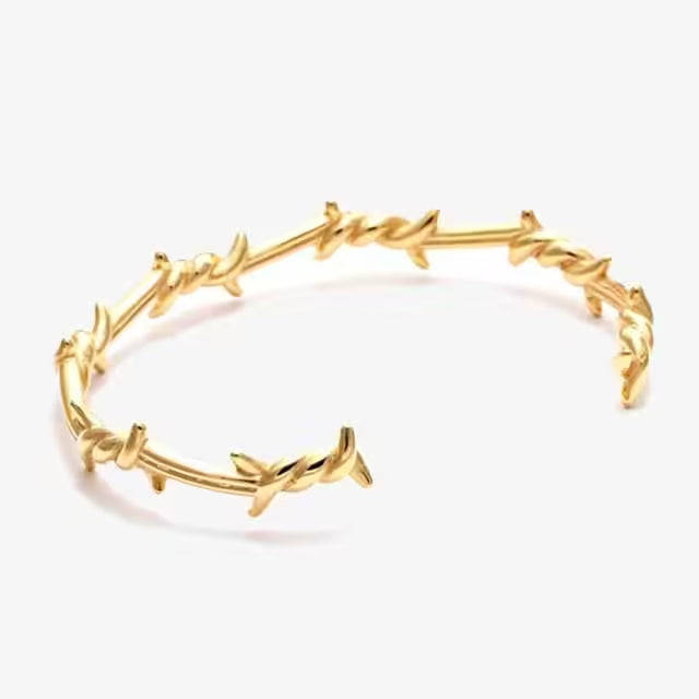 Thorns Wire Unisex Bangle Bracelet (EGBT352)