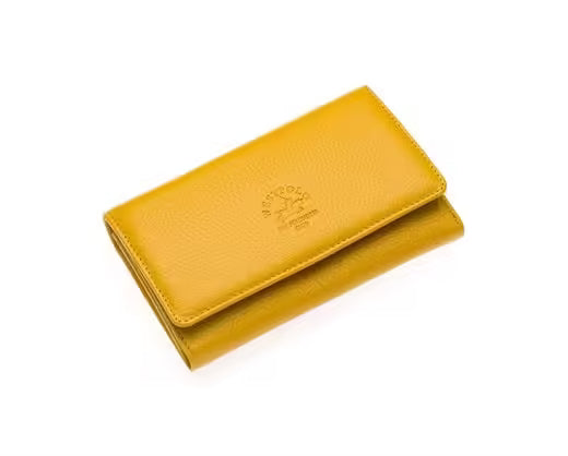 Westpolo Tasha Large Card Capacity Genuine Leather Horizontal Women's Wallet with Phone Compartment(488)