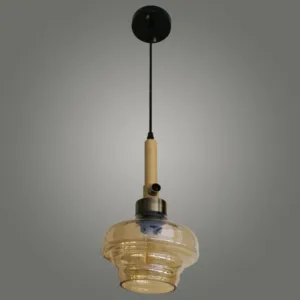 Modern Glass Bulb Pendant Light