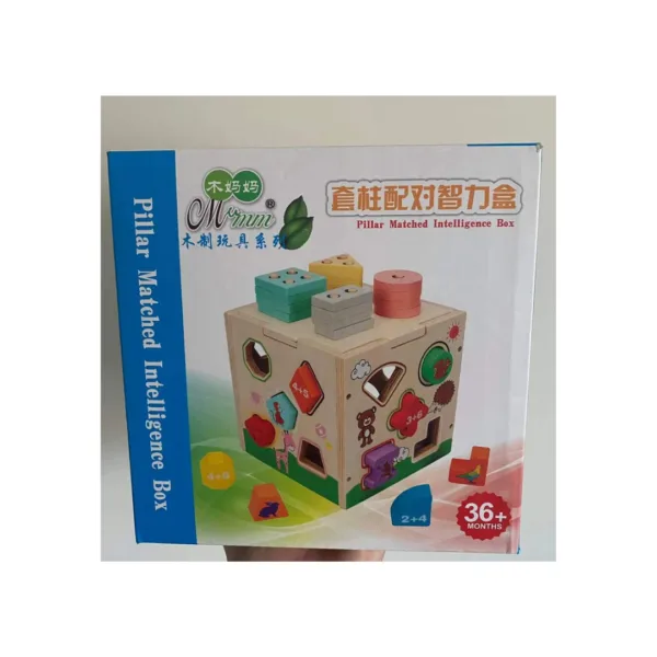 Educational Puzzle Shape Sorting House