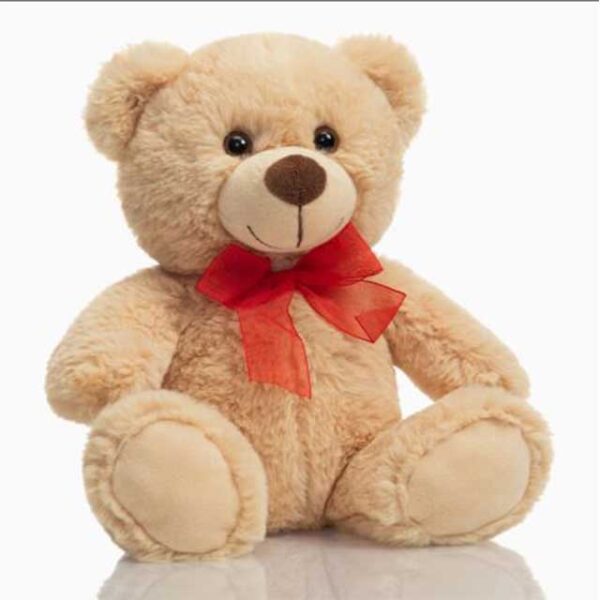 25cm Cuddly Soft Plush Stuffed Animal Bear Toy