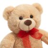 25cm Cuddly Soft Plush Stuffed Animal Bear Toy