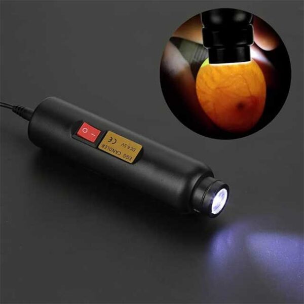 LED Egg Hatching Test Light