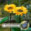 LED Solar Sunflower Lights – IP65 Waterproof Outdoor Pathway Lamp for Garden, Yard, Wedding & Holiday Decor