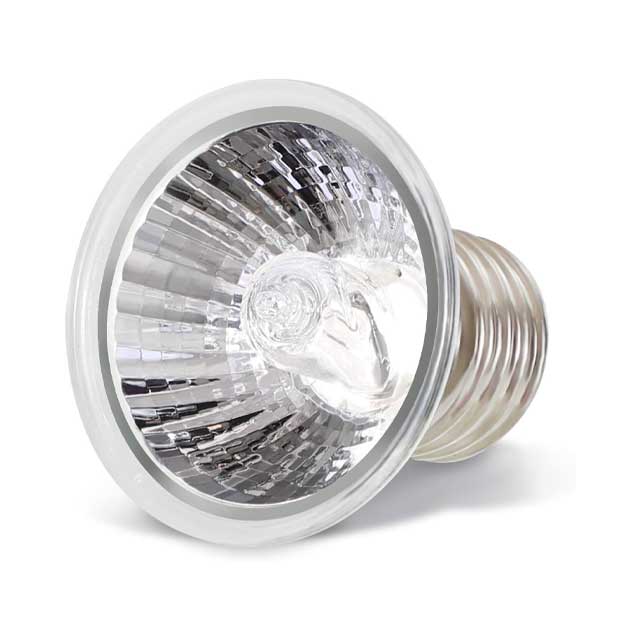 LEDGLE 25W Reptile Heat Bulb – E27 UVA/UVB Tortoise & Amphibian Heat Lamp for Lizards, Turtles, and Snakes