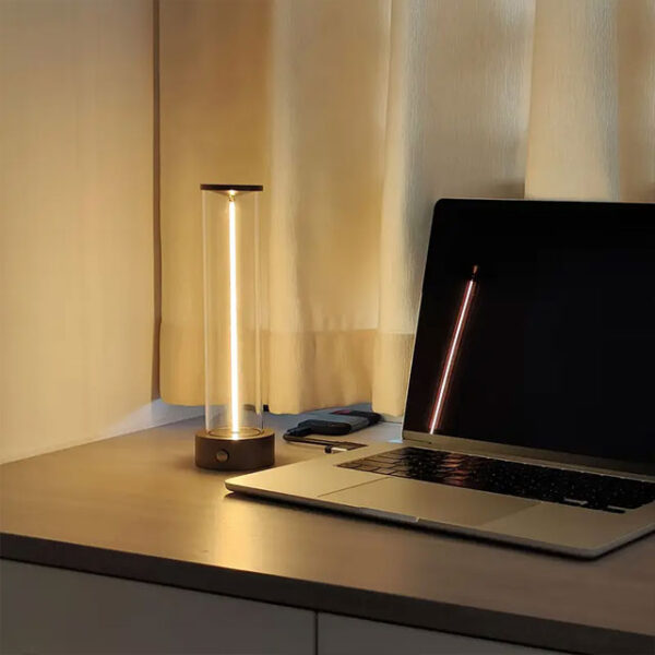 Modern Cordless Bedside Lamp – Rechargeable Touch-Controlled Dimmable Table Light with 3 Levels, USB Powered, Metal Base – Silvery Fantasy Style for Office, Living Room, Bedroom