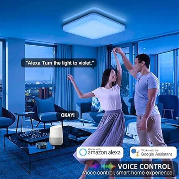 Smart Dimmable Alexa LED Ceiling Light