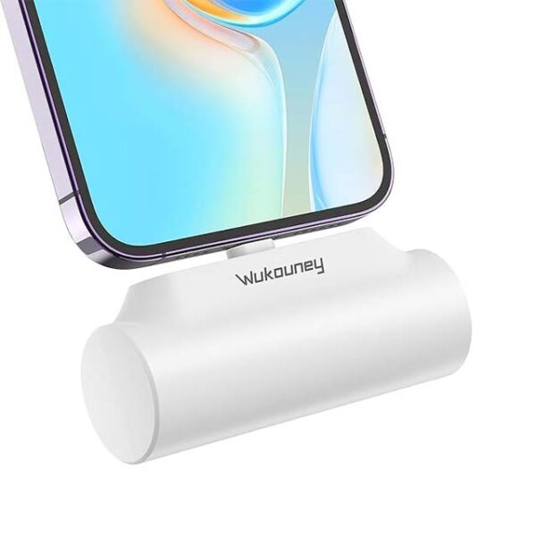 Wukouney Power Bank - Portable Charger - 10000mAh - Fast Charging - USB C Input/Output - External Battery Pack - for iPhone - Android - and More