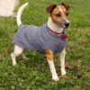 Bella & Balu 100% Cotton Cable Knit Dog Jumper – Warm Grey Dog Sweater for Cold Weather