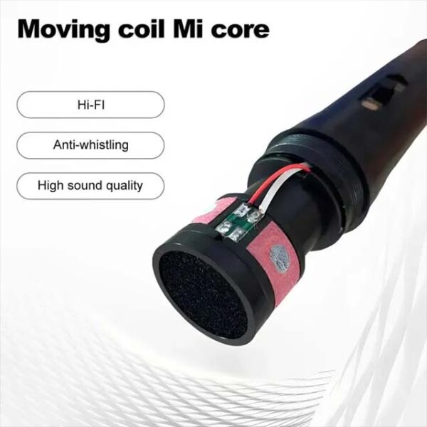 Professional Wired Handheld Dynamic Microphone – 3.5mm & 6.5mm Jack, Noise Reduction for Studio & Live Performance