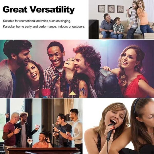 Professional Wired Handheld Dynamic Microphone – 3.5mm & 6.5mm Jack, Noise Reduction for Studio & Live Performance